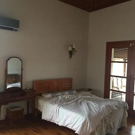Dağ evi Istanbul Private Architectural Villa Fireplace Pleasure With Large Garden And Area