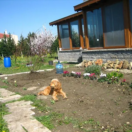 Istanbul Private Architectural Villa Fireplace Pleasure With Large Garden And Area Dağ evi