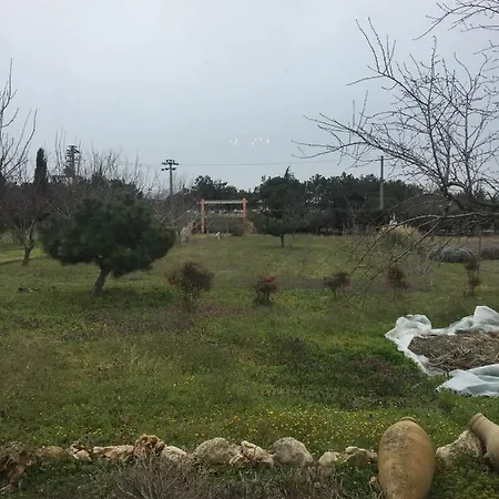 Istanbul Private Architectural Villa Fireplace Pleasure With Large Garden And Area *